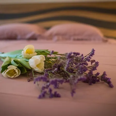 Skylight Megaron לרנקה